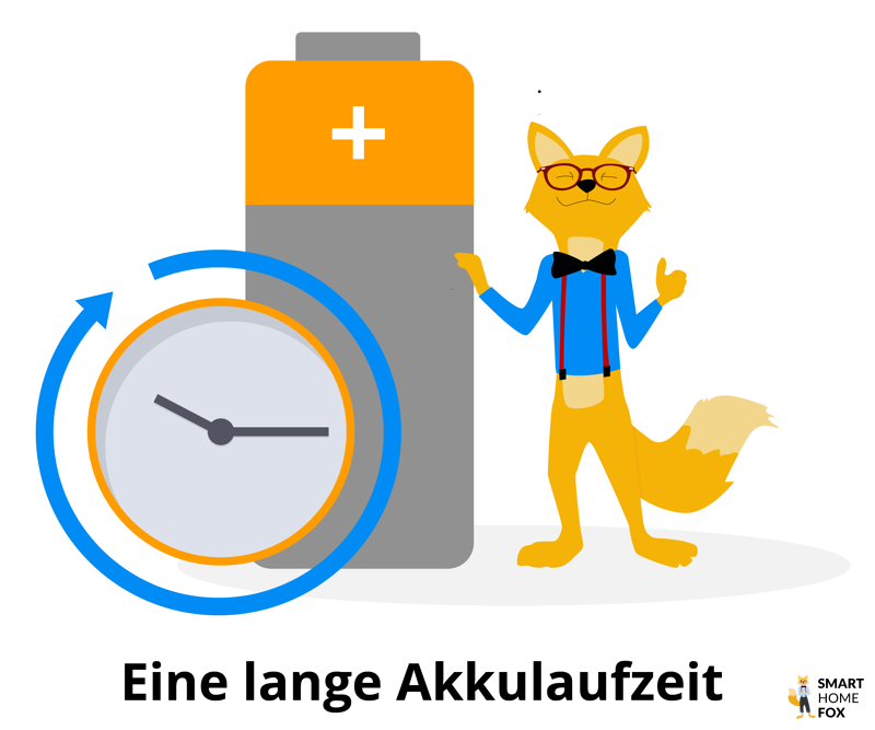 Der Fuchs mit einem Akku